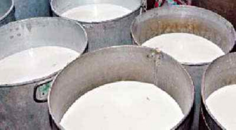 দেশে দুধের উৎপাদন চাহিদার অর্ধেকেরও কম