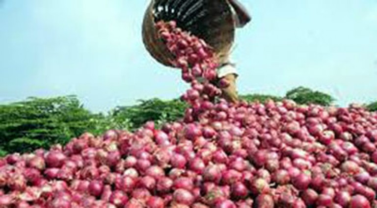 ঈদে টিসিবি’র পেঁয়াজ ৫০ টাকা কেজি