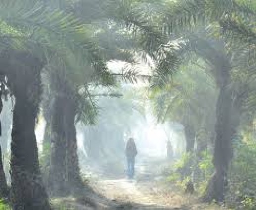 উত্তরের জনপদে শীতের আগমনী বার্তা