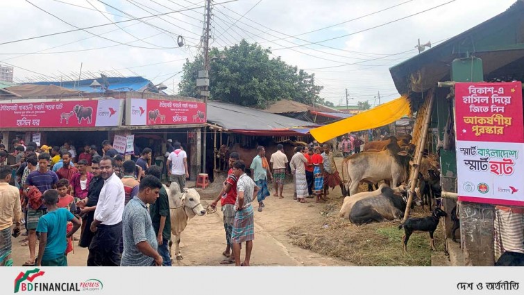 ‘স্মার্ট বাংলাদেশ, স্মার্ট হাট’-এ বিকাশ পেমেন্টে কেনা যাচ্ছে কোরবানির পশু