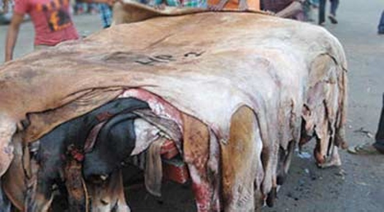 চামড়া শিল্প নগরী : তিন বছরের প্রকল্প ১৭ বছর