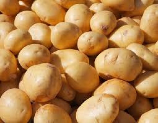 আলুতে আড়াই হাজার কোটি টাকা লোকসানের আশঙ্কা