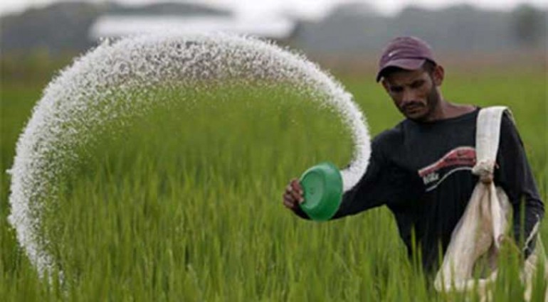 ২৫ হাজার টন ইউরিয়া সার আমদানি করবে সরকার
