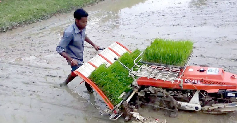 মজুরের পেছনে ধানের লাভ