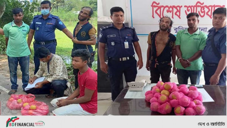 মাল্টার ভেতরে গাঁজা, আটক দুই