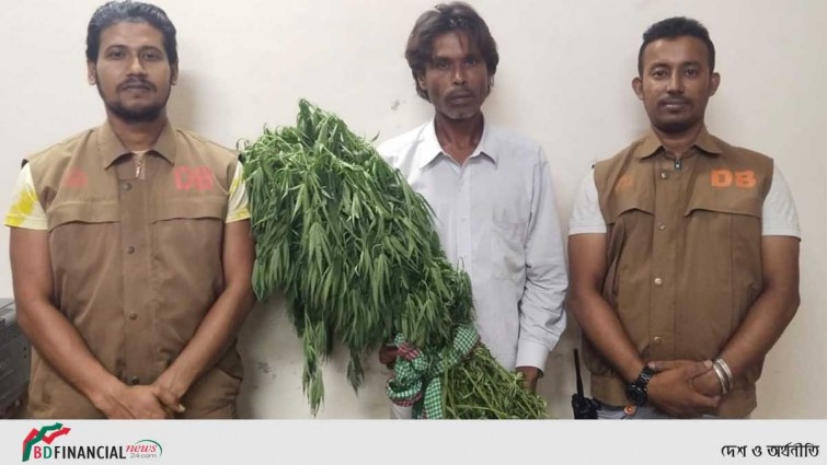 মানিকগঞ্জে ডিবির অভিযানে মাদক কারবারী গ্রেফতার
