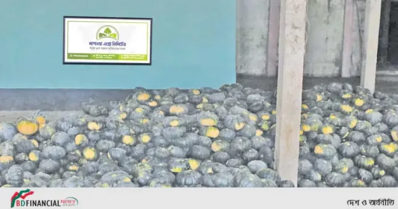মাসওয়া এগ্রো লিমিটেডের উদ্যোগে রপ্তানি হচ্ছে কৃষিপণ্য