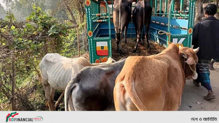 ভারতে অনুপ্রবেশের দায়ে নালিতাবাড়ী সীমান্তে ৩ বাংলাদেশী আটক