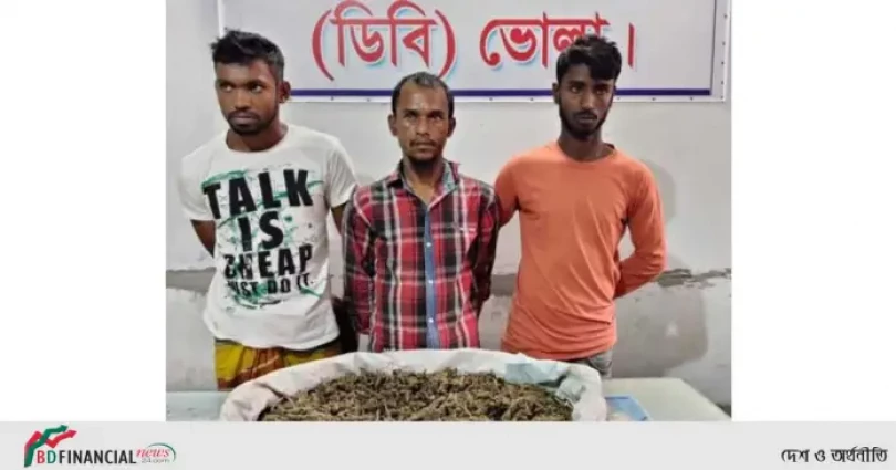 ভোলায় ২কেজি গাঁজাসহ ৩ মাদক ব্যবসায়ী আটক