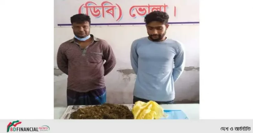 ভোলায় গাঁজাসহ ২ মাদক ব্যবসায়ী গ্রেফতার