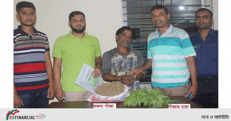 ১ কেজি গাজাসহ ১৯০টি গাঁজা গাছের চারা উদ্ধার করেছে দাগনভূঁঞা থানা পুলিশ
