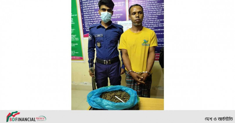 মৌলভীবাজার জেলা পুলিশের মাদক বিরোধী বিশেষ অভিযানে গাঁজা সহ একজন আটক