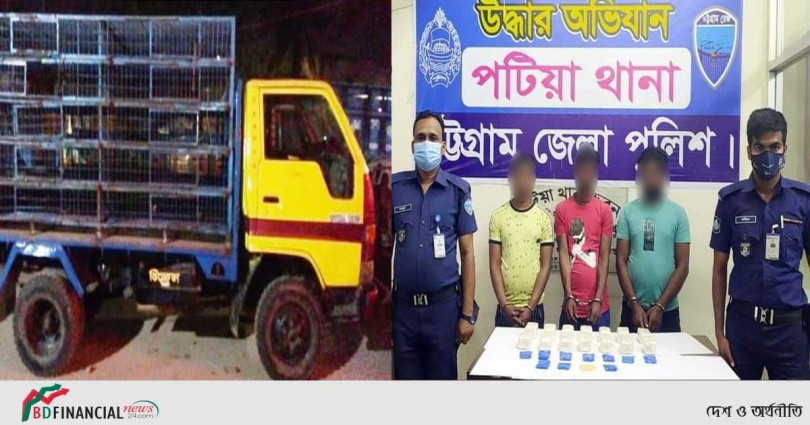 মুরগীবহনকারী পিকআপে ৩০০০০ ইয়াবা : পিকআপসহ ৩ জনকে গ্রেফতার করেছে পটিয়া থানা পুলিশ
