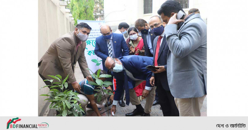 বঙ্গবন্ধুর জন্মশতবার্র্ষিকীতে সোনালী ব্যাংকের বৃক্ষরোপন কর্মসূচী