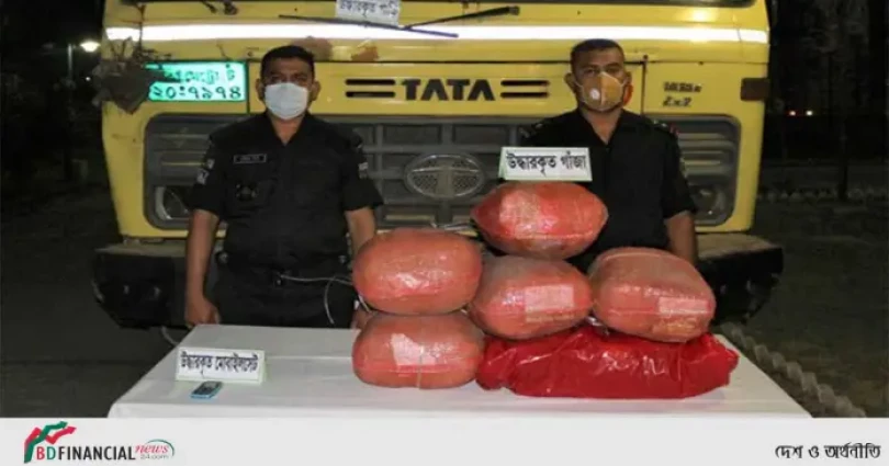 সিরাজগঞ্জে ৩০ কেজি গাঁজাসহ ট্রাক জব্দ করেছে র‌্যাব-১২
