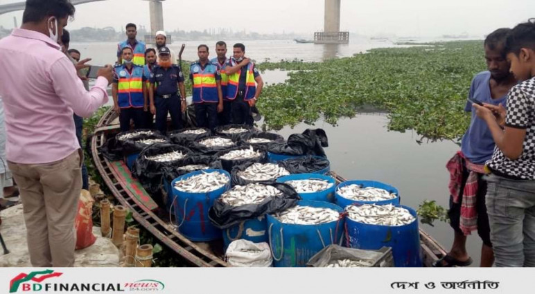 মুন্সীগঞ্জে ১ শত ৫০ মণ জাটকা জব্দ