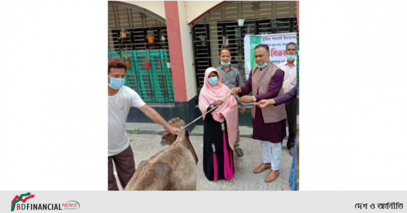 পঞ্চগড়ে ২২টি পরিবারের মাঝে গরু বিতরণ