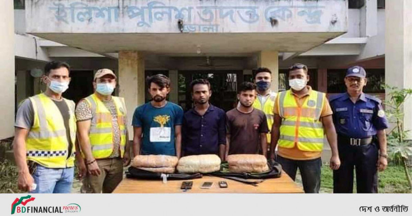 ভোলার ইলিশা থেকে ৬ কেজি গাঁজাসহ ৩ মাদক ব্যবসায়ী আটক