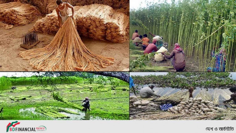 জাতীয় পাট দিবস আজ