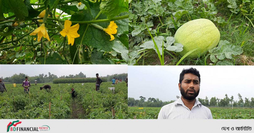 কৃষিতে ভাগ্যবদলের স্বপ্ন ছাত্র রউফের