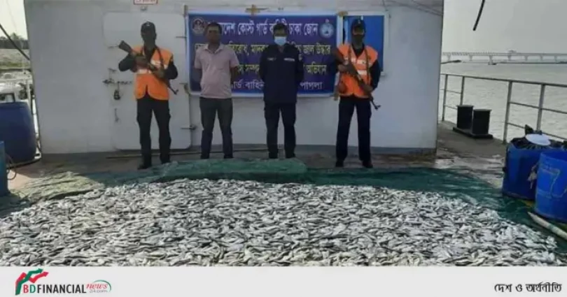 মুন্সিগঞ্জে পঞ্চাশ মণ জাটকা জব্দ