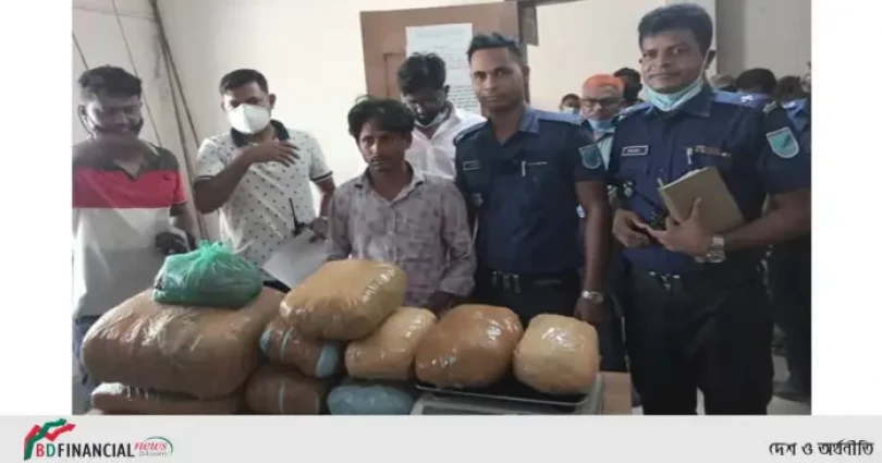 ২৫ কেজি গাঁজাসহ মাদক ব্যবসায়ীকে আটক করলো ফতুল্লা থানা পুলিশ