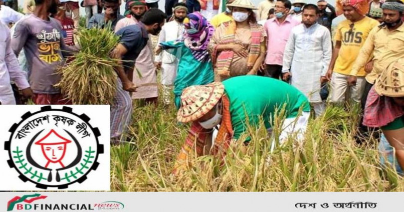 সারাদেশে ধান কাটা উদ্বোধন ঘোষণা করেছে বাংলাদেশ কৃষক লীগ