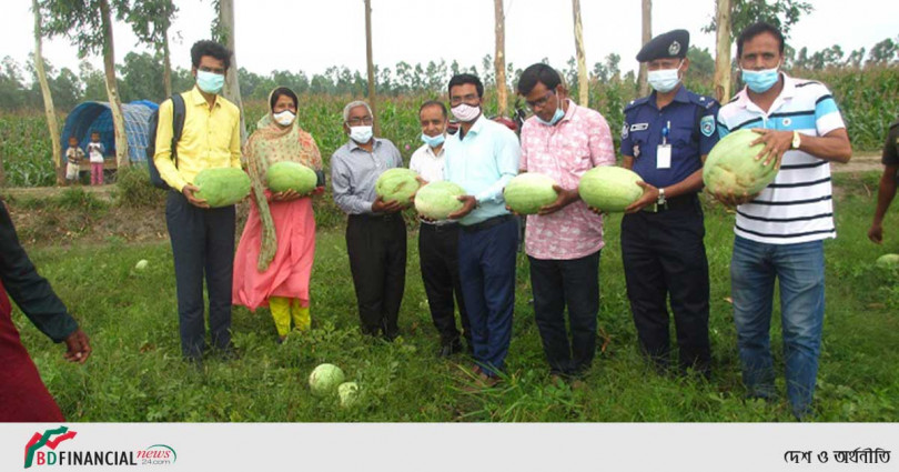 আটোয়ারীতে তরমুজের বাম্পার ফলন