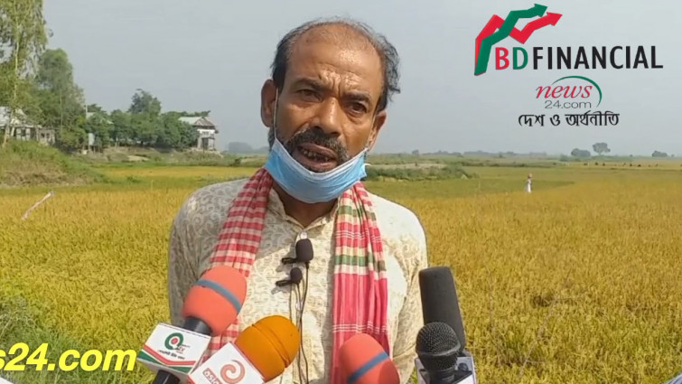 আড়িয়াল বিলে কৃষকের ধান কেটে দিল আওয়ামী স্বেচ্ছাসেবক লীগ