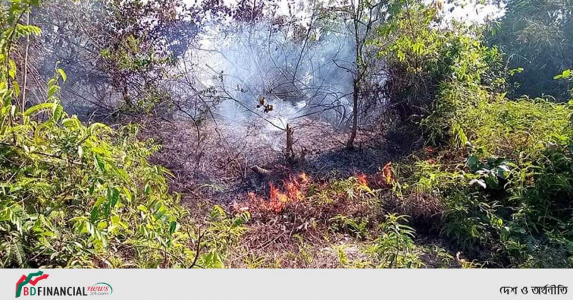 লাউয়াছড়ার আগুণ লাগার ঘটনায় ২ সদস্যের তদন্ত কমিটি গঠন!