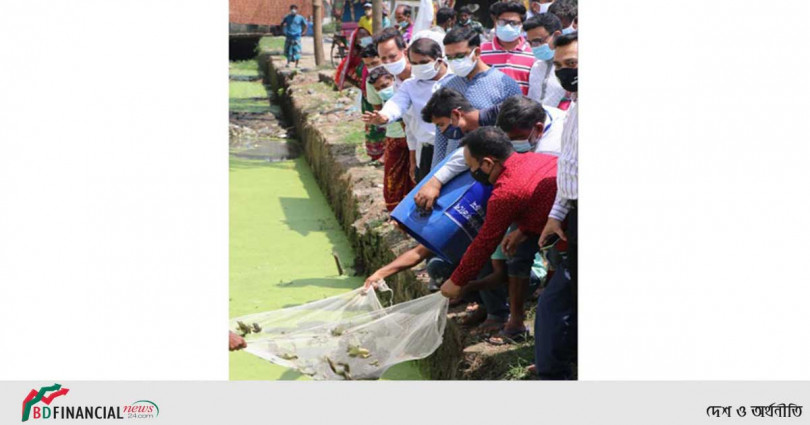 মশক নিধনে মসিকের ৪০০০ ব্যাঙ অবমুক্ত