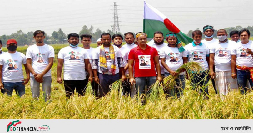৪০ জেলায় যুবলীগের ধান কাটা কার্যক্রম
