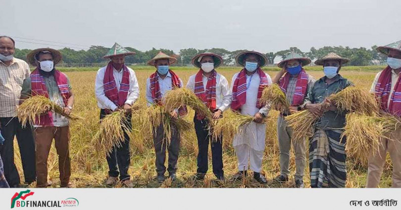 বোরো ধান কর্তন উদ্বোধন করলেন ফরিদপুরের জেলা প্রশাসক অতুল সরকার