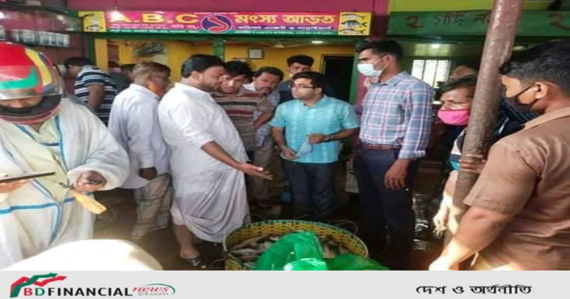 আনোয়ারায় মৎস্য আড়তে অভিযান,৬০ কেজি জাটকা জব্দ
