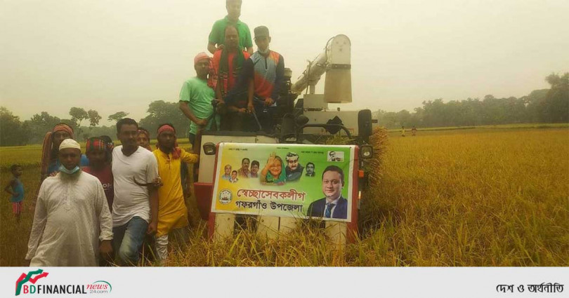 ময়মনসিংহে হতদরিদ্র কৃষকের ধান কেটে দিলেন স্বেচ্ছাসেবকলীগ