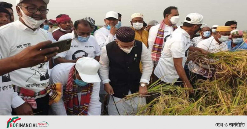 কৃষকের ধান কেটে দিলেন ত্রাণ প্রতিমন্ত্রী
