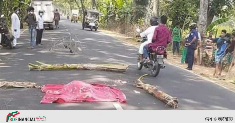 নলছিটিতে ট্রাক চাপায় বৃদ্ধার মৃত্যু
