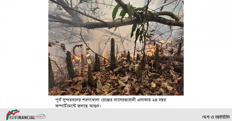 সুন্দরবনে ফের আগুন !