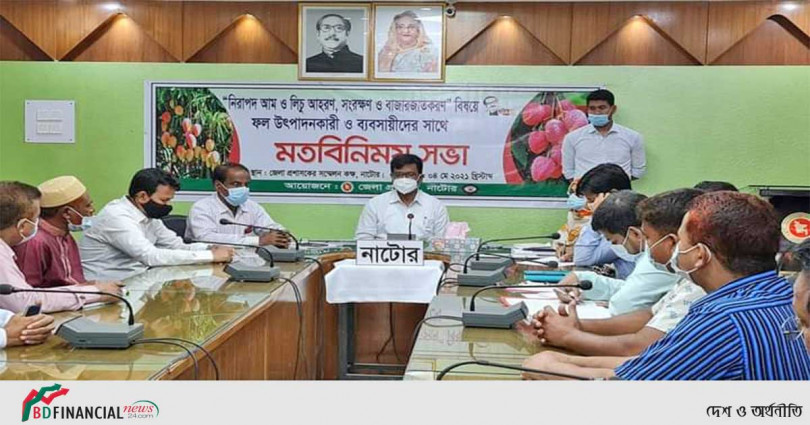 নাটোরে ১০ মে গাছ থেকে নিরাপদ আম ও লিচু সংগ্রহ কার্যক্রম শুরু