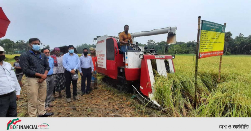 নড়াইলে ধান কাটা উদ্বোধন করলেন জেলা প্রশাসক