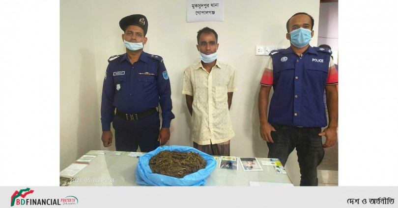 ১ কেজি গাঁজাসহ মাদক ব্যবসায়ীকে গ্রেফতার করেছে মুকসুদপুর থানা পুলিশ