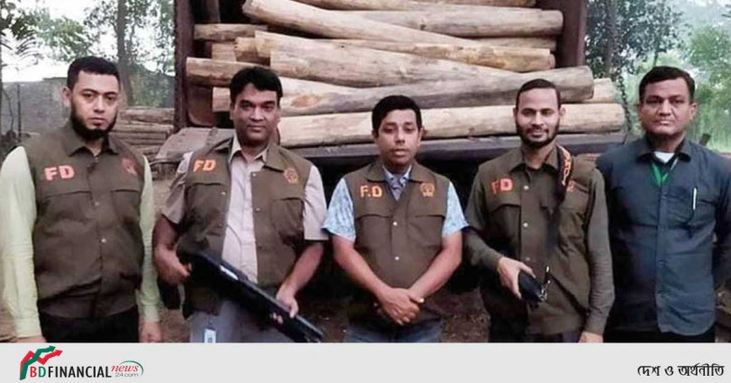চট্টগ্রামে বিপুল পরিমাণ অবৈধ সেগুন কাঠ জব্দ