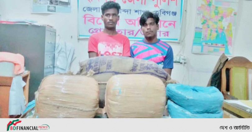 হবিগঞ্জে ডিবি পুলিশের অভিযানে ২৮ কেজি গাজাঁ উদ্ধার আট ২
