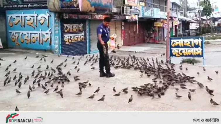 পাখির প্রতি মৃত্যুঞ্জয়ের ভালোবাসা