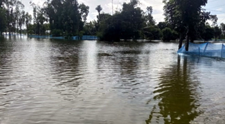 নাঙ্গলকোটে ভেসে গেছে পুরস্কার পাওয়া ফিশারিজের তিন কোটি টাকার মাছ