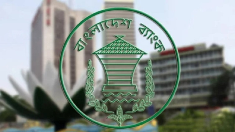 ভারতে ইলিশ রফতানির সিদ্ধান্তের ব্যাখ্যা দিলেন বাণিজ্য উপদেষ্টা