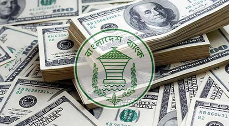 ৯ দিনে প্রবাসী আয় এলো ৬৫ কোটি ৫০ লাখ ডলার