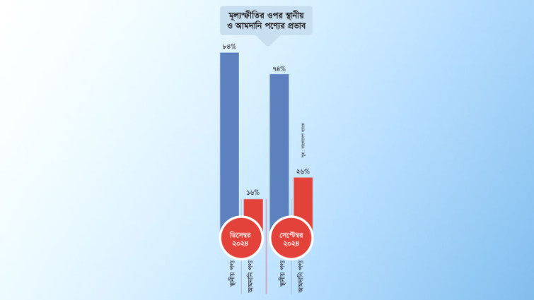 আমদানি নয়, দেশীয় পণ্য ৮৪ শতাংশ ভূমিকা রাখছে মূল্যস্ফীতিতে