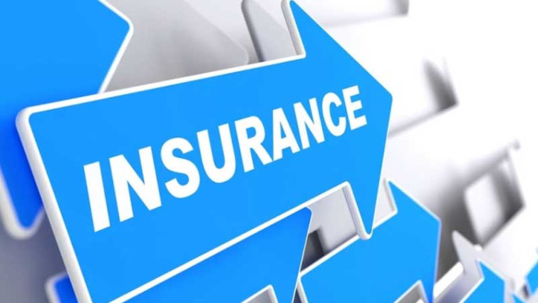 দুই বীমা কোম্পানির ক্যাটাগরি পরিবর্তন