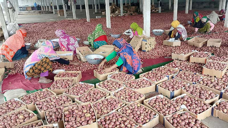 বগুড়ার আলু রফতানি হচ্ছে মধ্যপ্রাচ্য, সিঙ্গাপুর মালয়েশিয়াসহ ৭ দেশে